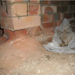 Pest And Building Inspection